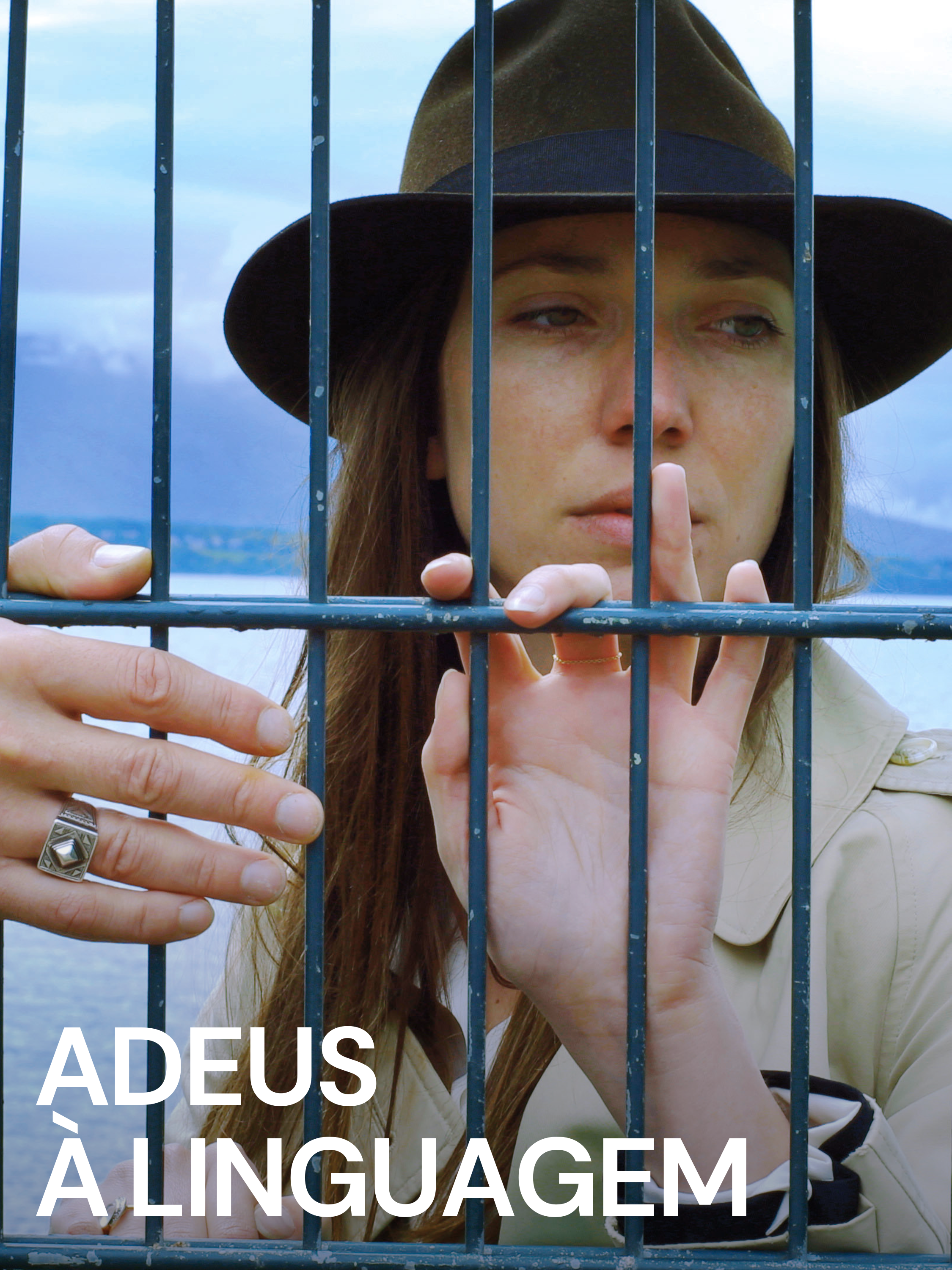Adeus à Linguagem (2014)